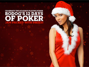 Bodog Poker 12 Days of Christmas